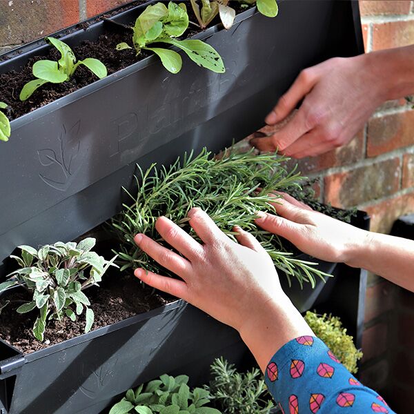PlantBox Living Walls - Image 2