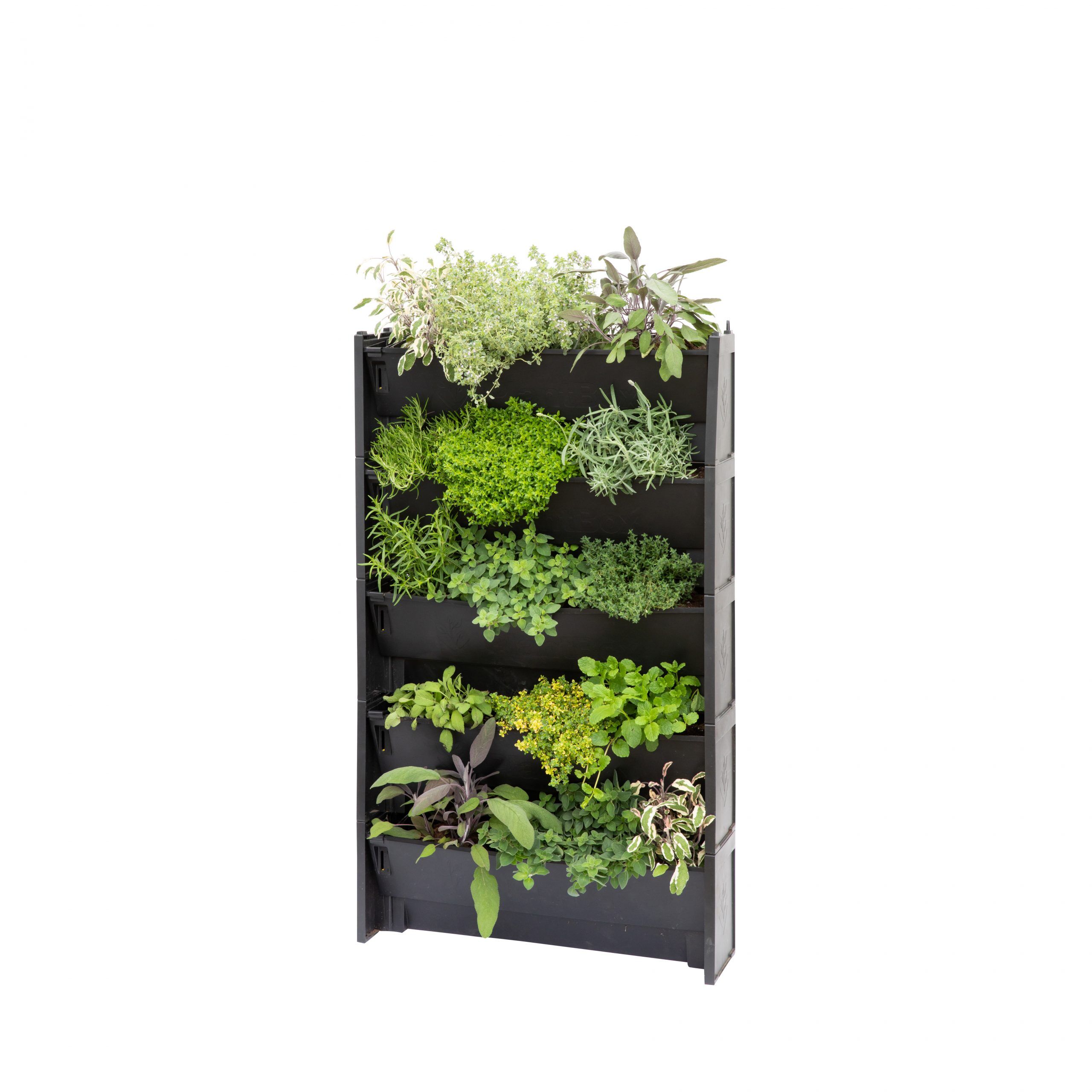 PlantBox Living Walls - Image 10