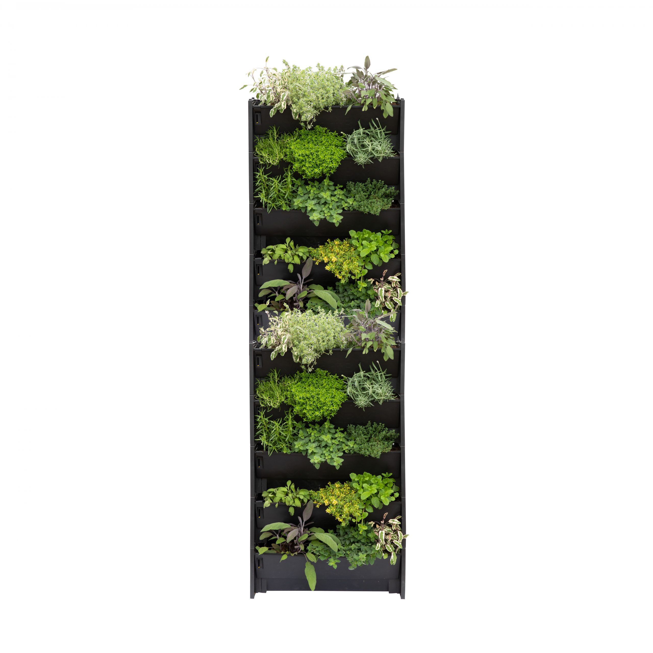 Living wall plantbox