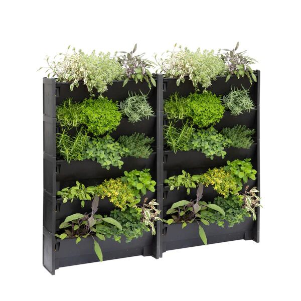 PlantBox Living Walls - Image 5