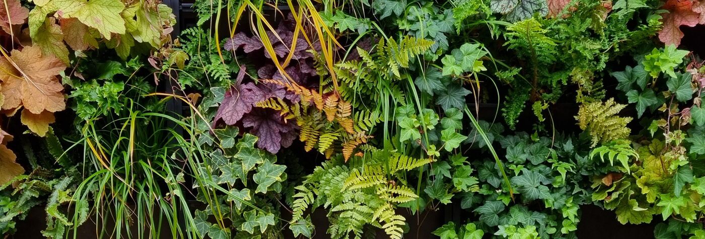 PlantBox Living Walls - Image 7