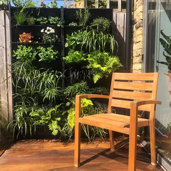 PlantBox Living Walls - Image 12